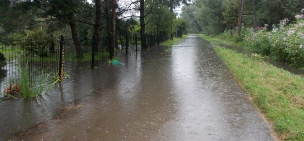 To zdjęce po opadach deszczu w niedzielę, 21 sierpnia. - W rzece Pszczynce stan niski, a ulica Brzechwy w tym roku zalana po raz czwarty - zauważa J. Machalica