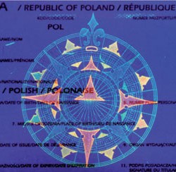 Paszporty na Piastowskiej 40...w Bielsku