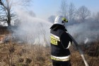 Pożar trawy w Woli, 8 marca 2015 r. (fot. OSP Wola)