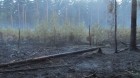 Pożar lasu w Kobiórze (fot. KP PSP Pszczyna)