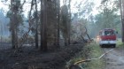 Pożar lasu w Kobiórze (fot. KP PSP Pszczyna)