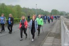 VI Nordic Walking wokół Zbiornika Łąckiego (fot. POSiR PSzczyna)