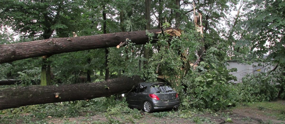 Wichura powaliła drzewa, zniszczyła samochody
