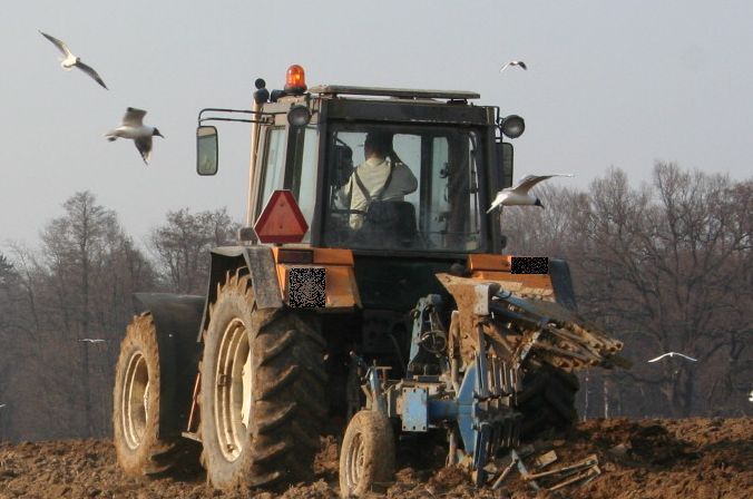 Na „podwójnym gazie” traktorem przez wieś