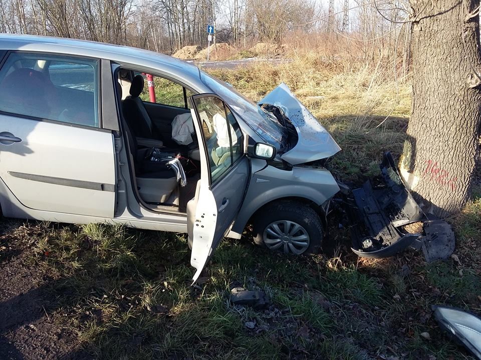 Wypadek w Pawłowicach. Auto uderzyło w drzewo