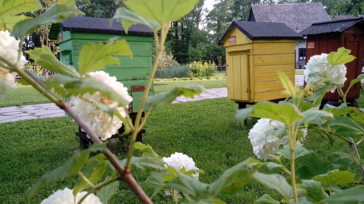 Święto Pszczoły w Skansenie