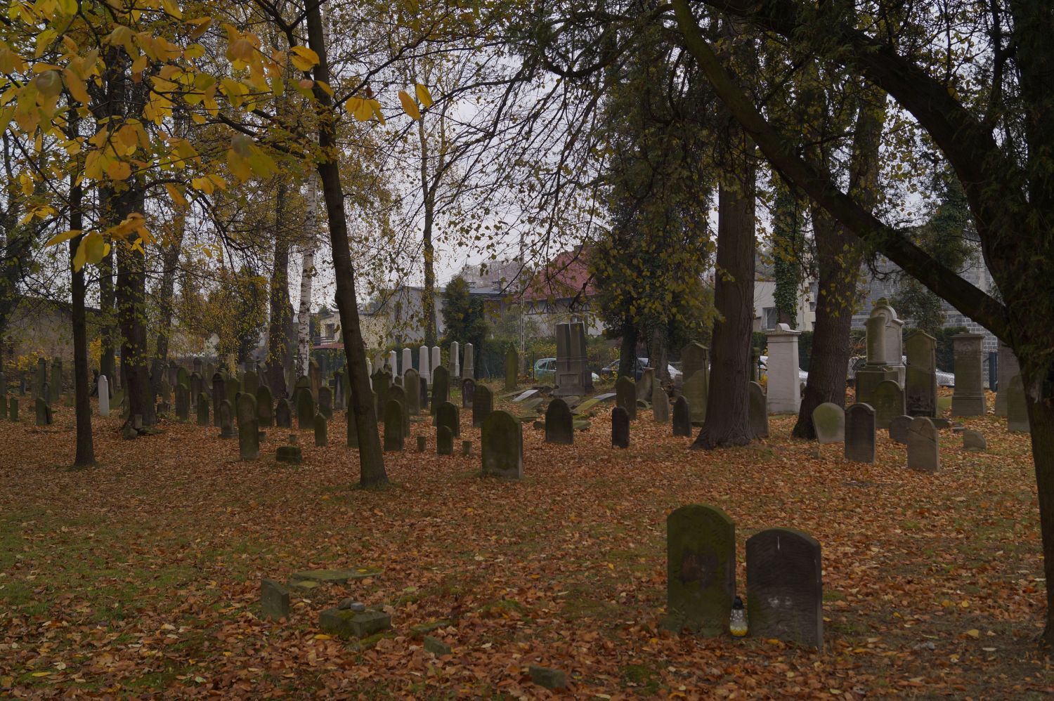 Cmentarz Żydowski stanie się własnością miasta Pszczyna