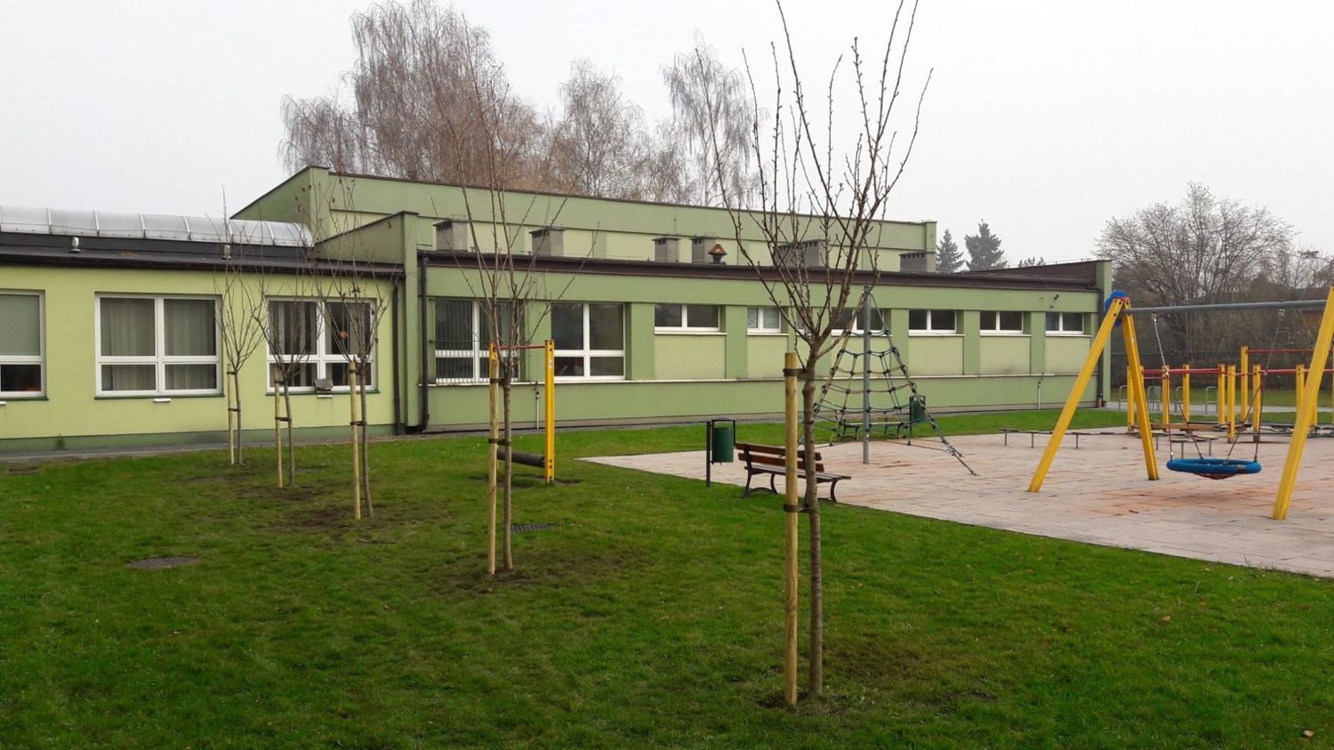 W listopadzie 2019 r. zasadzone zostały drzewa na terenie placu zabaw przy Szkole Podstawowej nr 6.