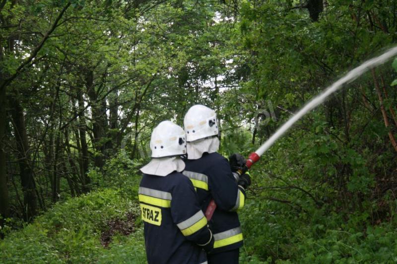 Ćwiczenia zgrywające strażaków z Miedźnej